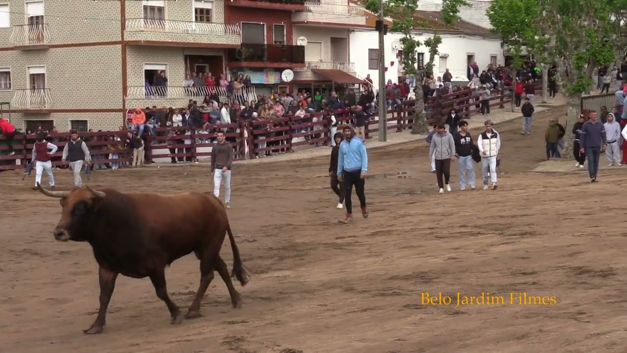 Largada Primeiro Toiro na Feira Anual 3 de Maio 2025
