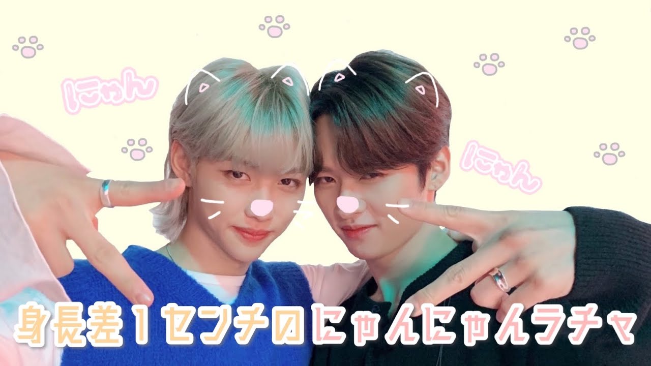 身長差１センチのにゃんにゃんラチャ / リノ フィリックス 냥냥라차 Meowracha   straykids スキズ 日本語字幕