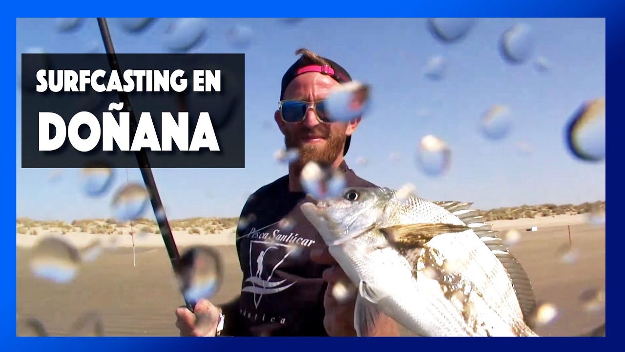 SURFCASTING 🎣en Doñana🐟SUSCRIBETE