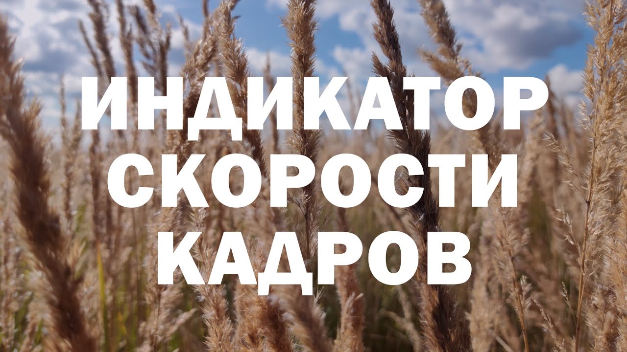 Индикатор Скорости Кадров в mcpro24fps