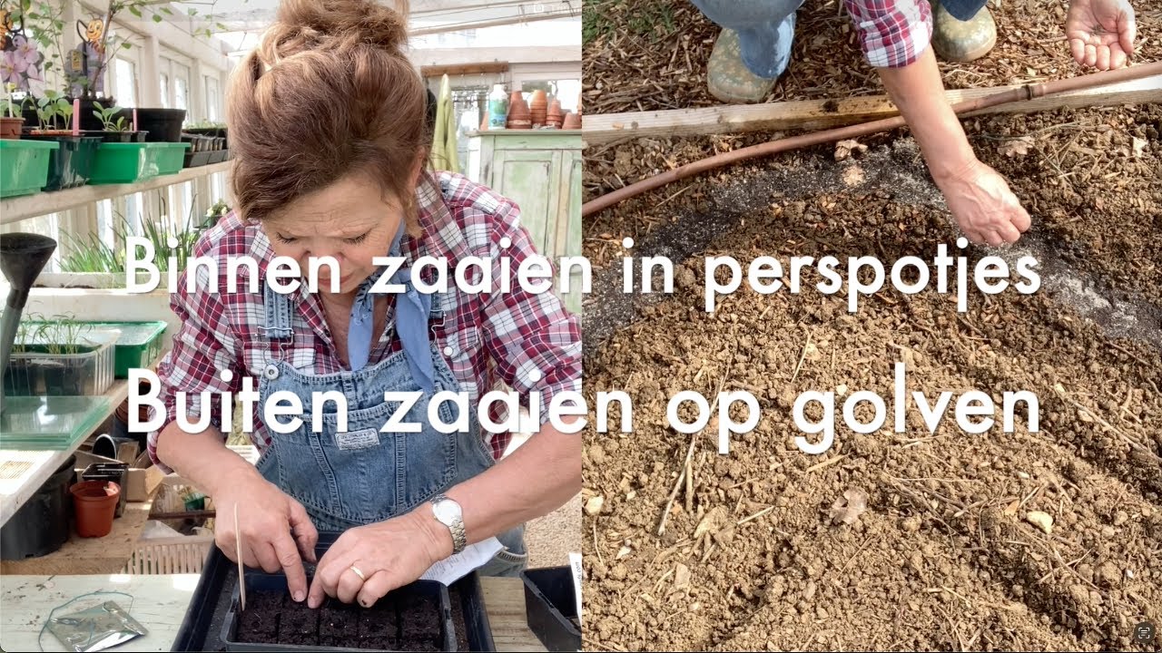 Ini's Moestuin #135 - Half maart: zaaien echt van start, binnen in perspotjes en buiten op golven.