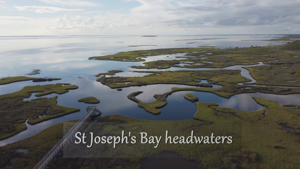 St Joseph's Bay iSUP tour exploring and looking for scallops
