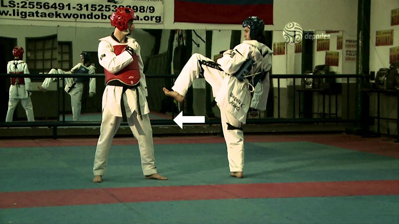 Taekwondo - Generalidades y técnicas