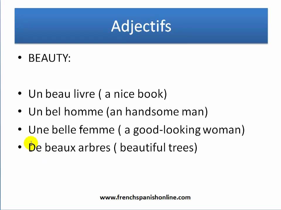 adjectives rules in French, before or after the noun