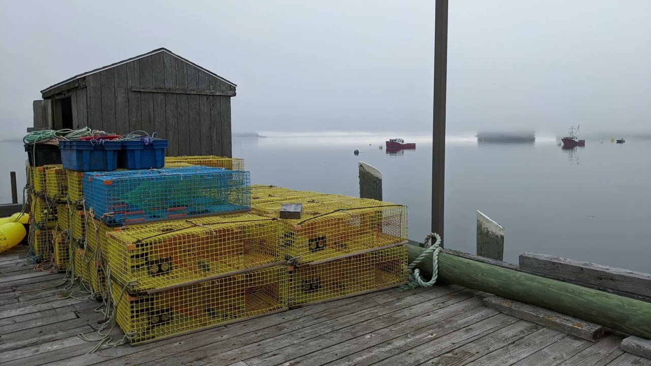 Plein Air Painting Workshops and Retreats in Lubec, Maine, and on Campobello Island, New Brunswick