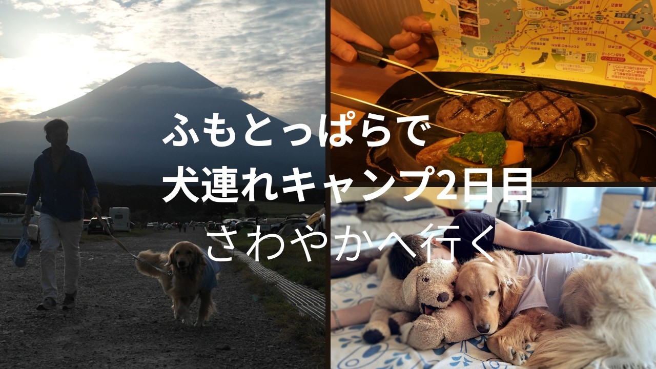 ふもとっぱら2日目【さわやかへ行く】