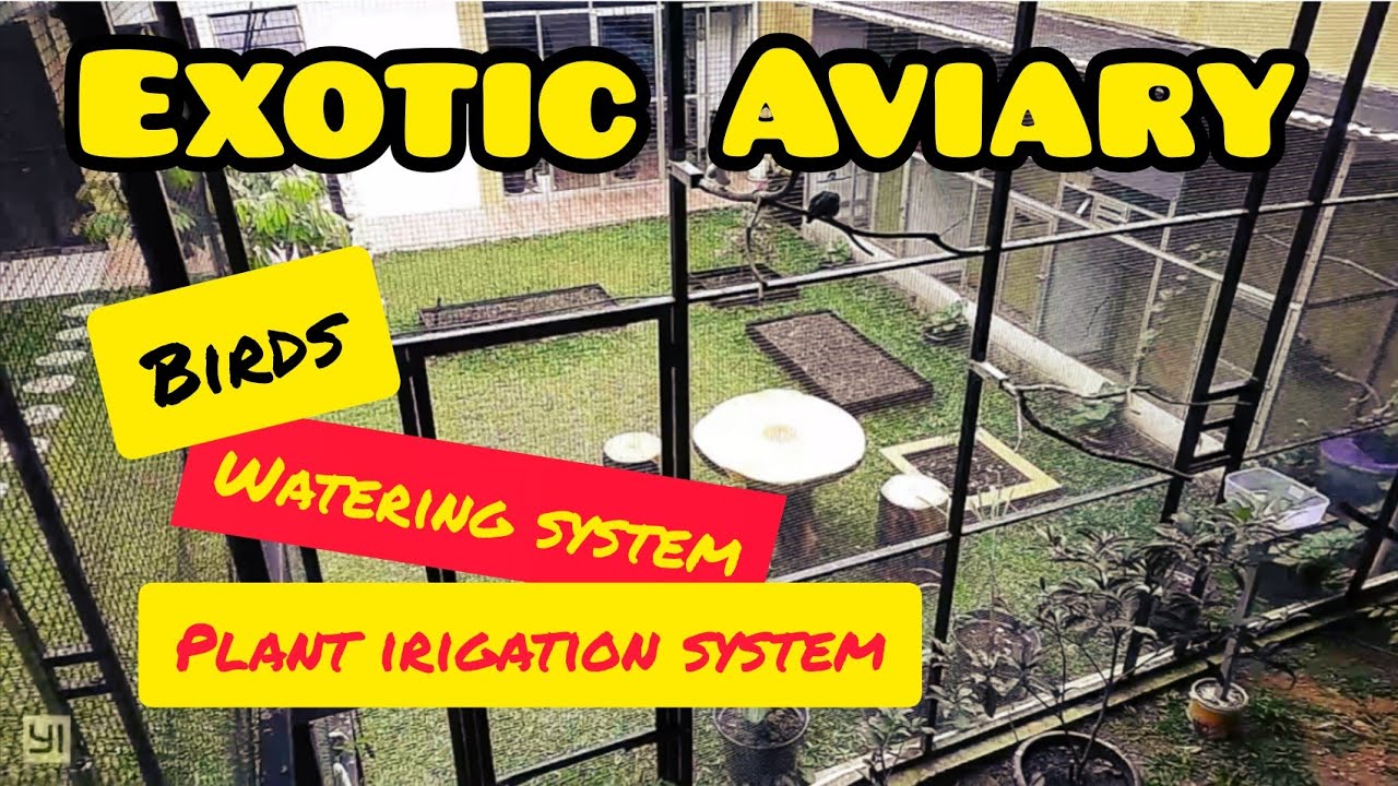 Aviary | Birds | Watering system | plant & irigation