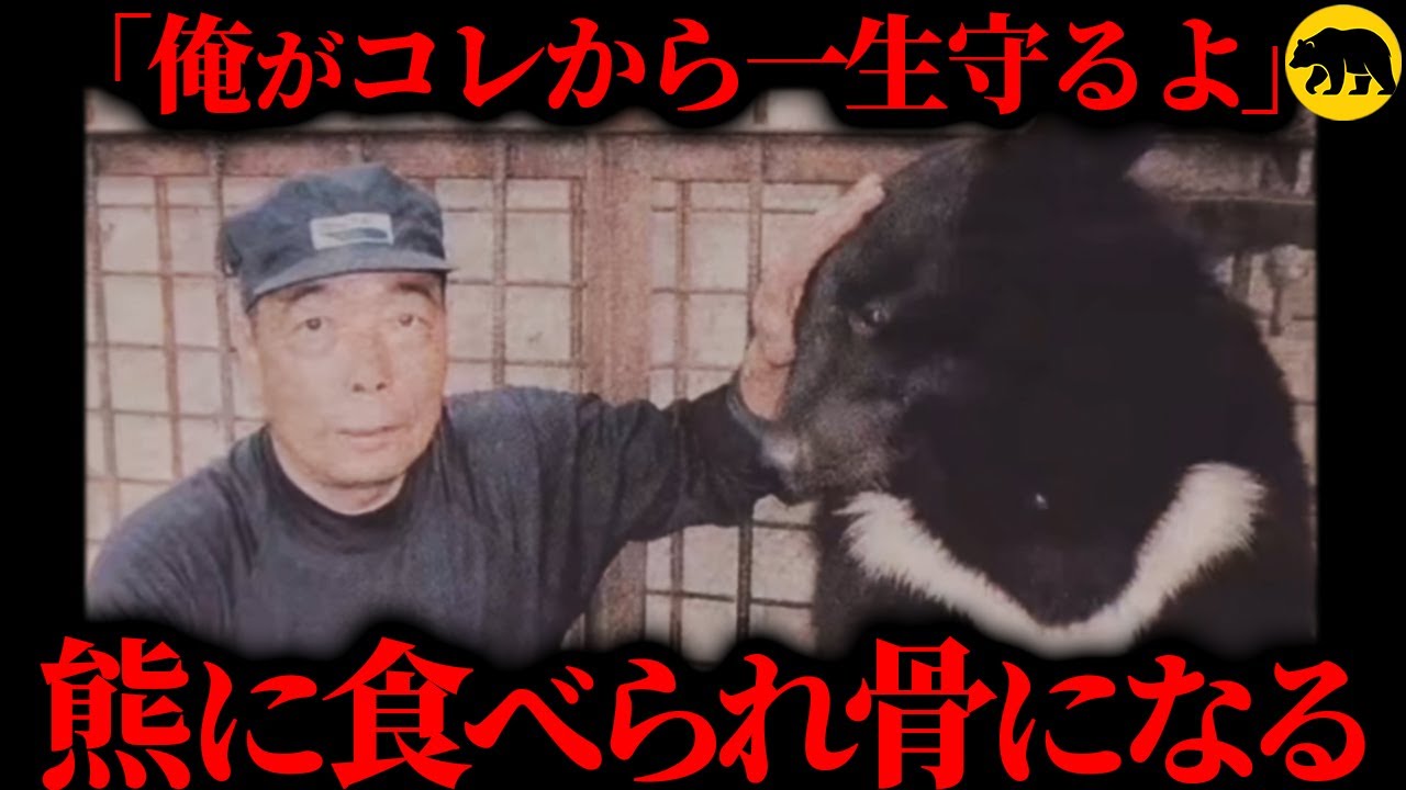 【現場は阿鼻叫喚】周りの忠告を無視し小熊を拾い育てた男の“末路”…熊に喰われ骨だけになる