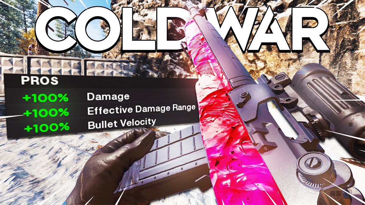 the NEW DMR.. MAX DAMAGE! (Black Ops Cold War DMR 14 Best Class Setup)