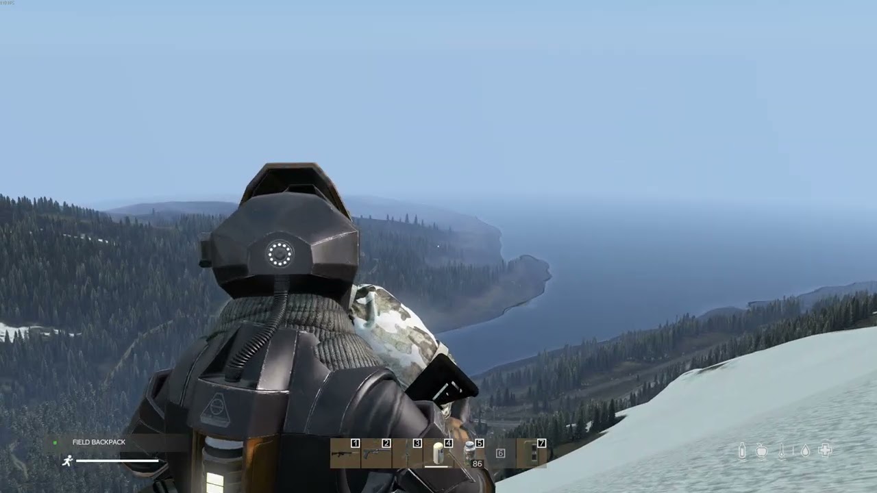 What in the DayZ?!