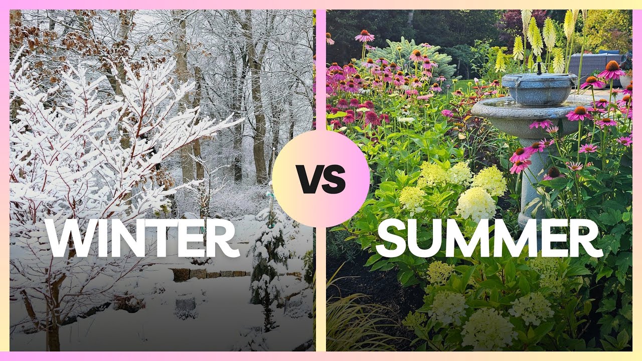 Unbelievable Garden Transformation | Winter Snow to Summer Blooms!