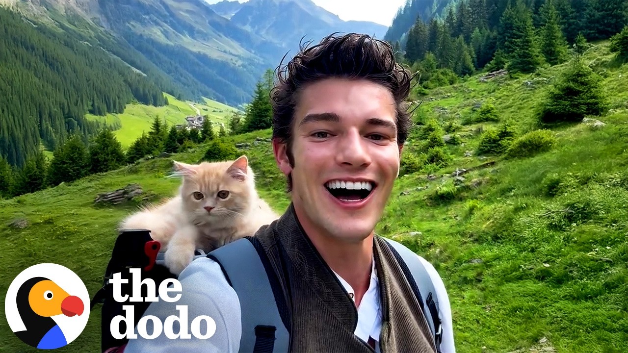 Guy Never Expects He'd Explore The Mountains With His Cat | The Dodo