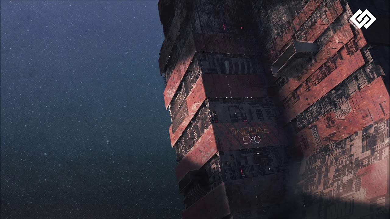 Tineidae - Reconnection
