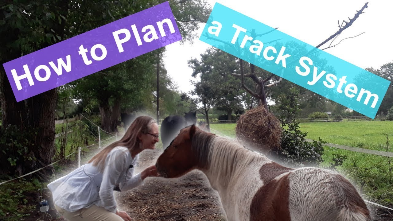 How to Plan a Track System for Horses | How to Track