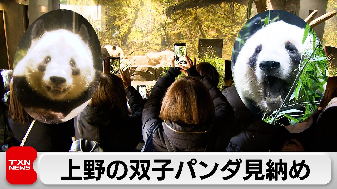 上野動物園の双子パンダ　最終観覧日迎え多くのファンが別れ惜しむ