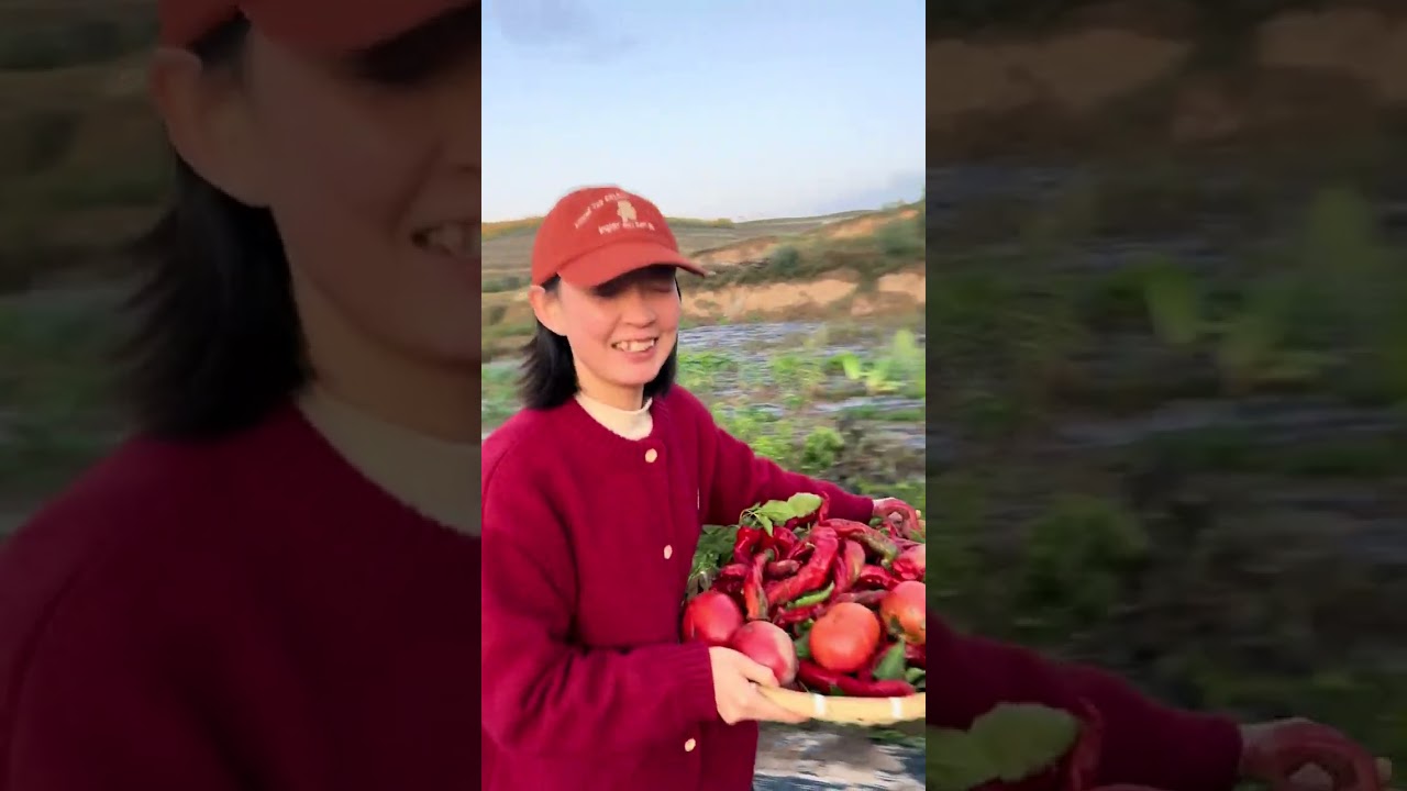 秋天的菜园还是充满生机，落日无比美丽。妈妈剁了牛肉萝卜馅，给我们包了一顿好吃的包子，看着父母的笑容，我好像知道了什么是知足的幸福。 #会宁王能干 #记录我的农村生活 #农村的生活