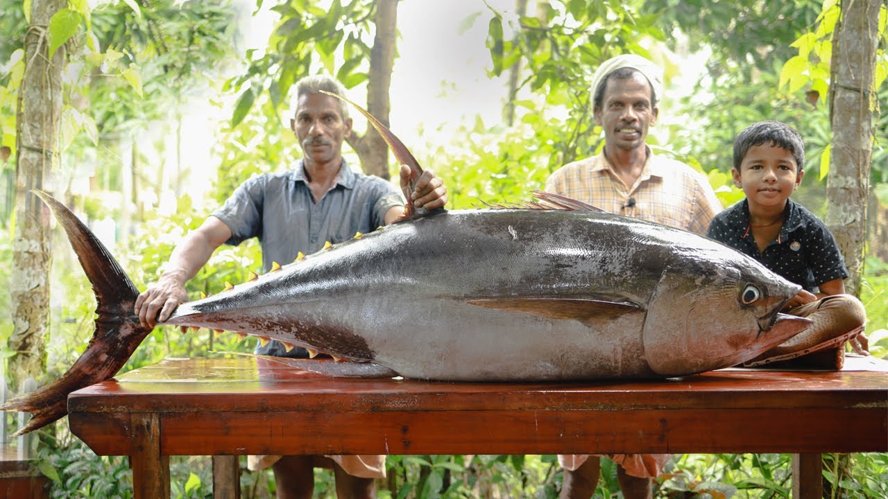 80 KG Giant Tuna Fish pickle  / Tuna Cutting and cooking