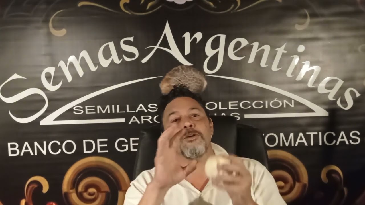 punto de corte, secado y curado.