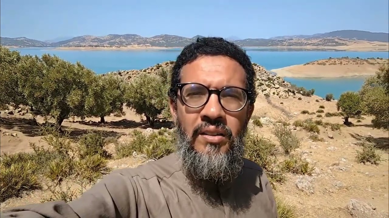 الحياة الحقيقية - مروان حمى