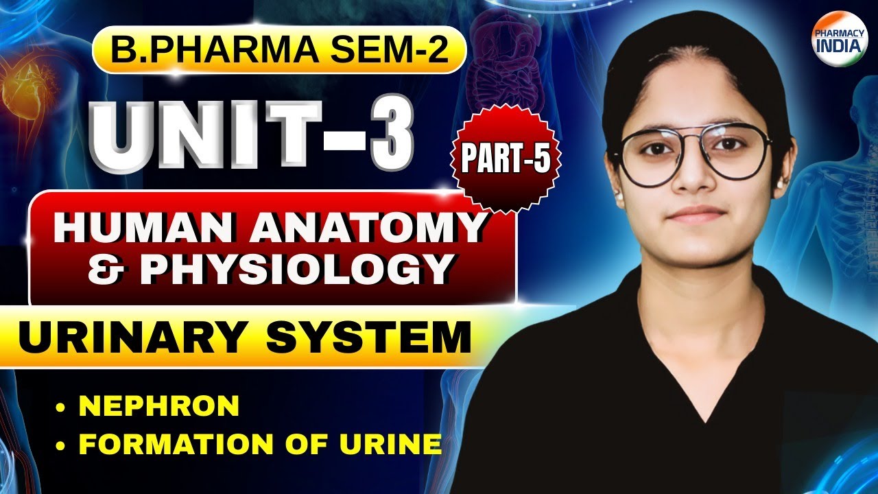 Nephron I Formation Of Urine I HAP I Part -5 I Unit - 3 I Semester - 2 I B.Pharm #humananatomy