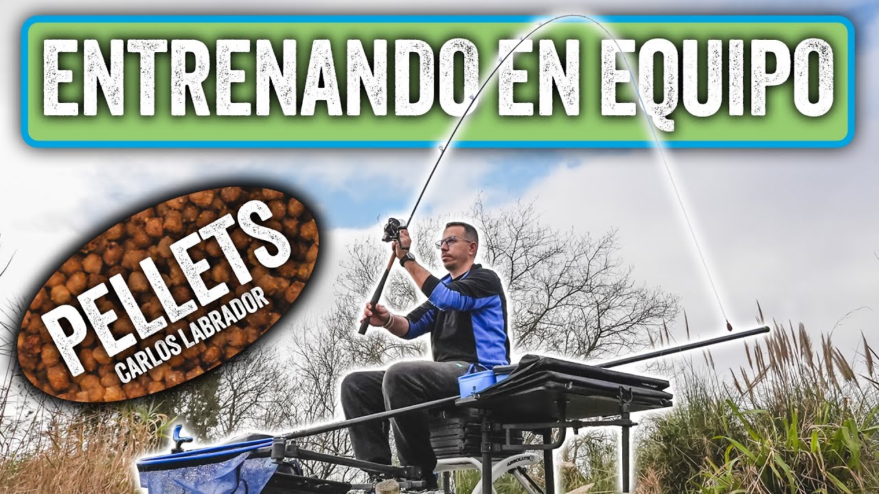 🎣 ENTRENANDO EN EQUIPO (EPISODIO 1) | PELLETS 🎣