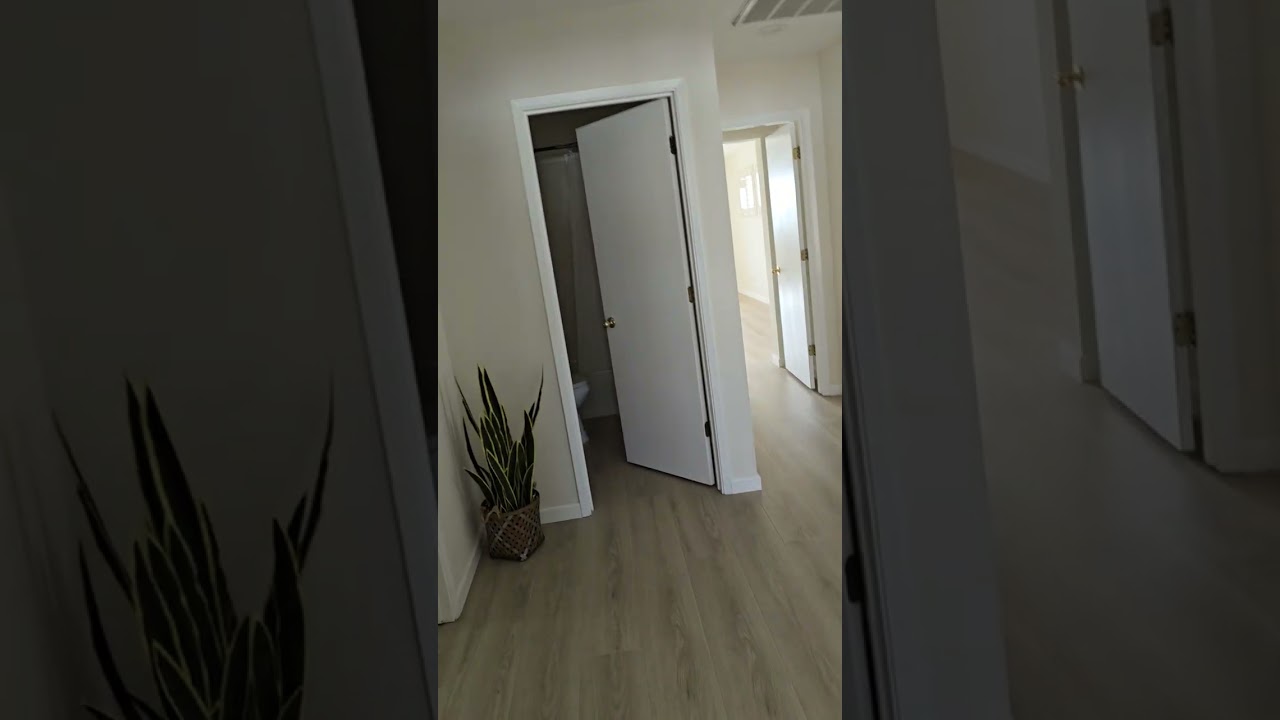 94 pelican move in