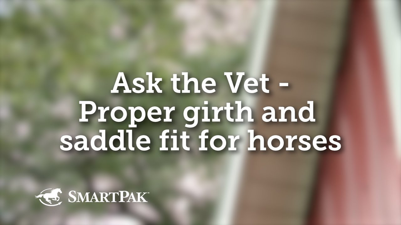 Ask the Vet - Proper girth and saddle fit for horses