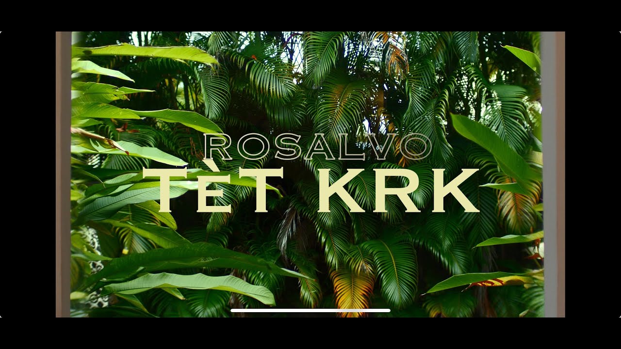 Rosalvo x Lens Dupuy - T&egrave;t Krk (Visualizer)