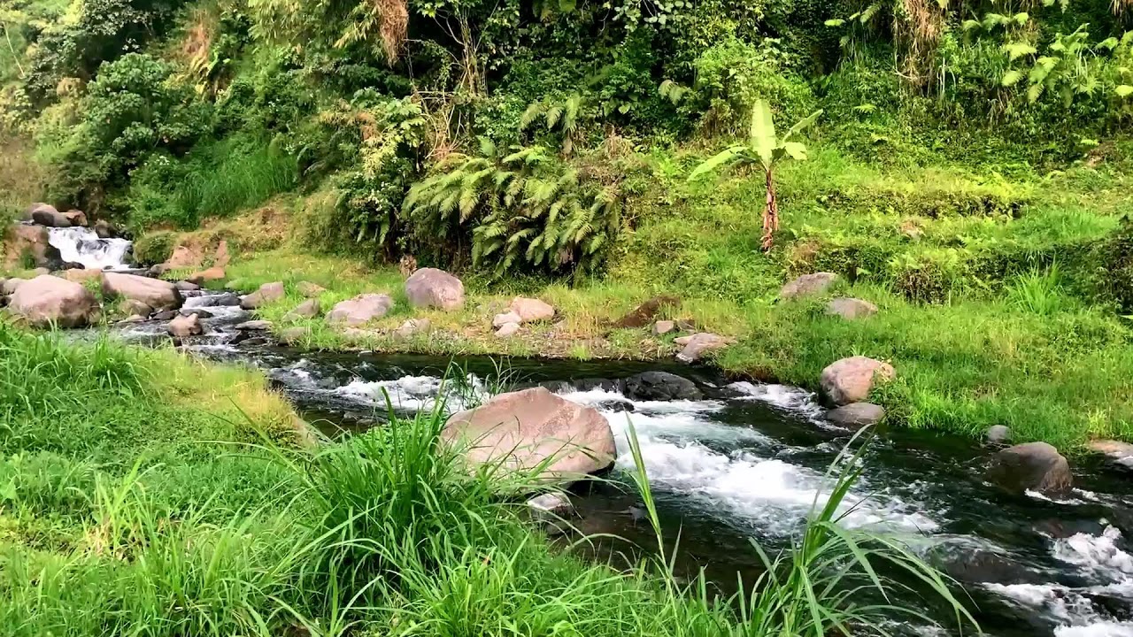 Refreshing Calm Lake to help Deep Sleep & Mental Clarity