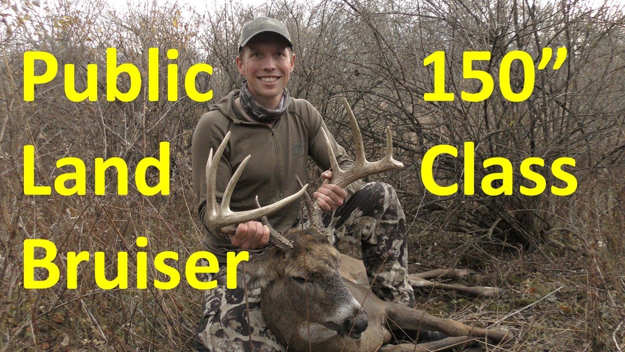The Whitetail Tale - Wisconsin Public Land Archery Rut Hunt - 25 Yard Kill Shot