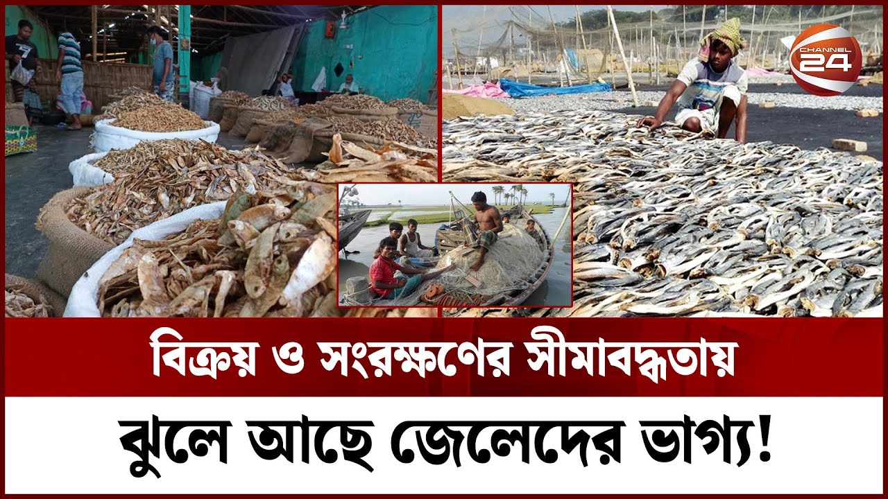 অপার সম্ভাবনায় জেলেদের শুঁটকি উৎপাদন | Dried Fish | DRY Fish | Patuakhali | Channel 24