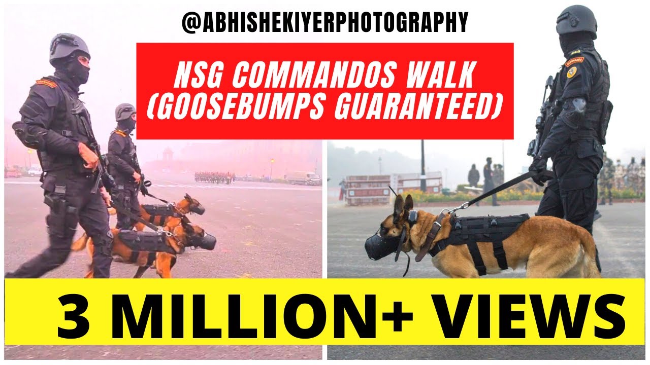 Super Soldier Belgian Malinos (NSG) Elite commando forces&rsquo; K9 (canine) unit | #NSG #K9Unit #Shorts