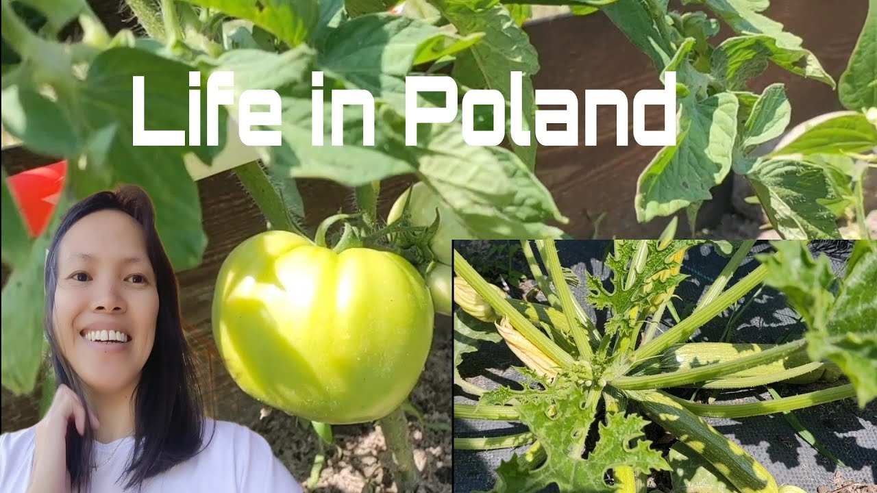 Our Friends Fresh Veggies Garden in Poland