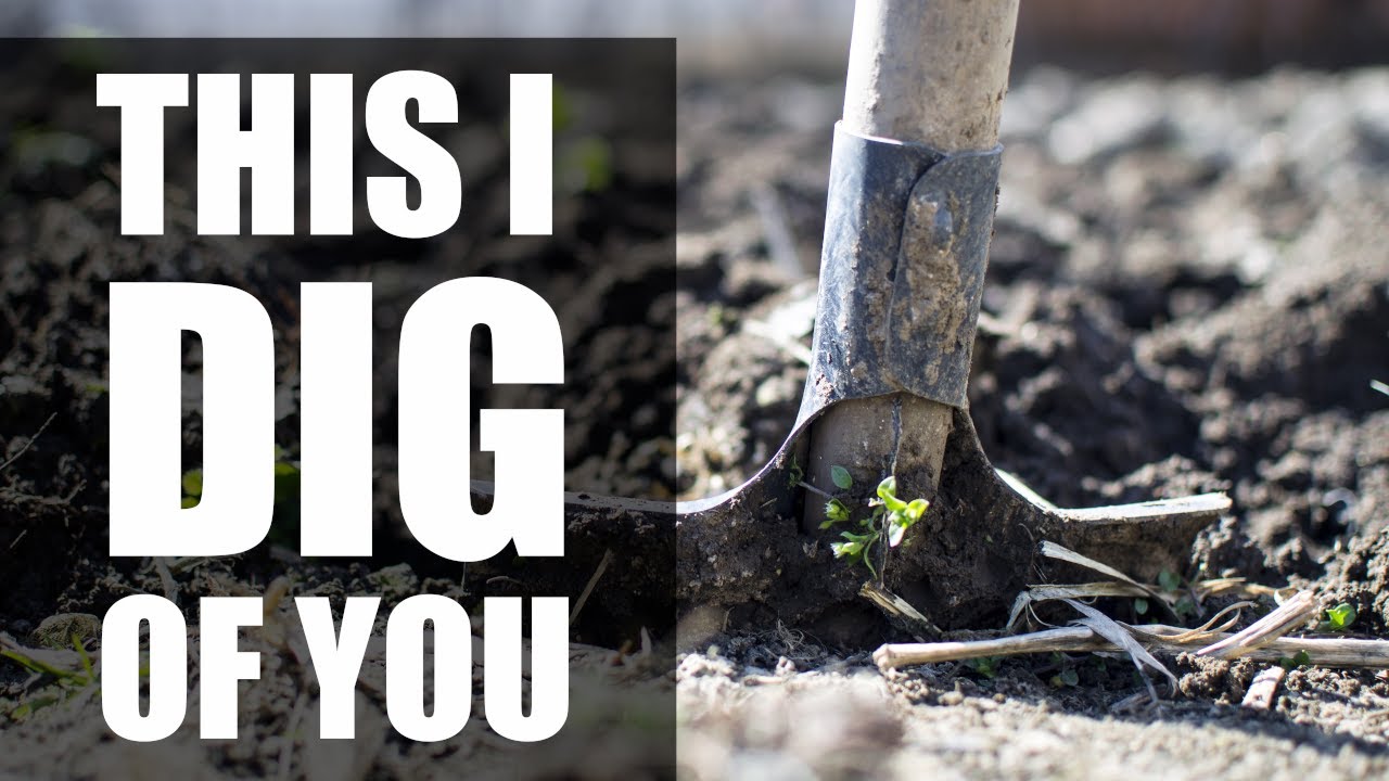 This I Dig of You: Backing Track