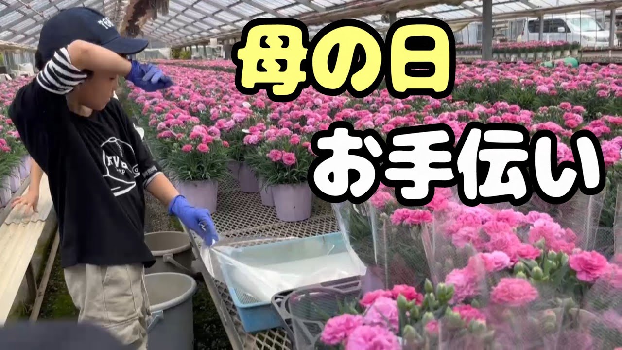 【母の日】皆でお手伝い