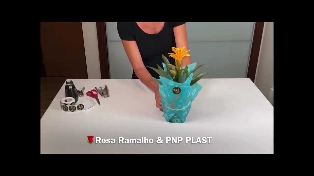 Gift wrapping//How to wrap a potted plant #wrapflowers#plantpotwrapping
