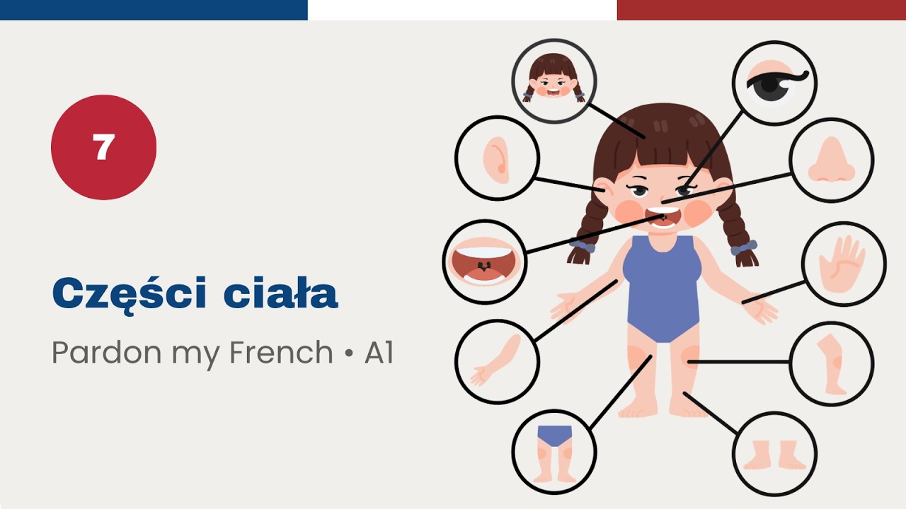 7. le corps humain - części ciała - Pardon My French A1 - Podcast do nauki języka francuskiego