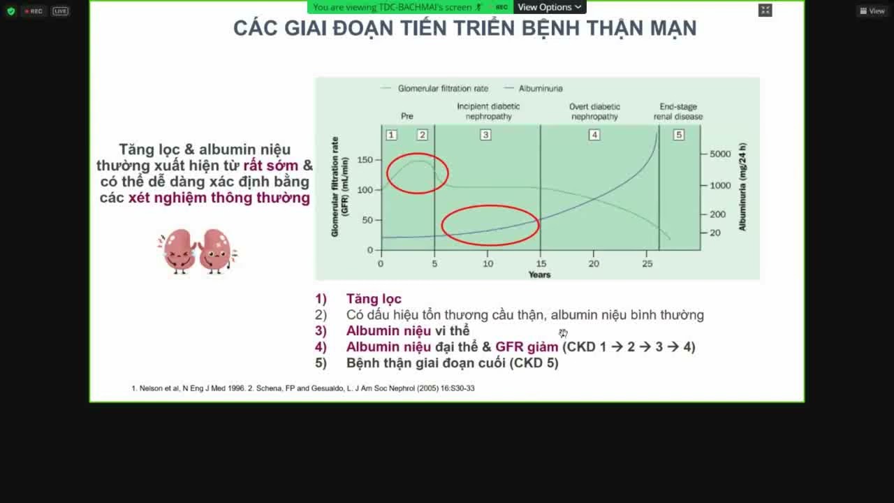 BỆNH THẬN ĐÁI THÁO ĐƯỜNG | BS CKII. Vũ Thùy Thanh