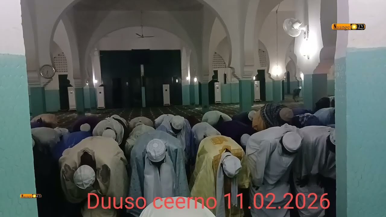 Duuso ceerno subaka njeslaari 11.02.2026