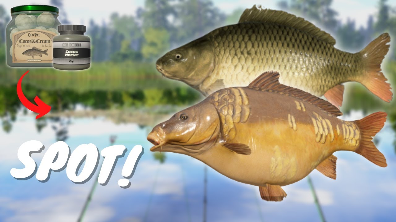ACTIVE CARP SPOT IN BEAR LAKE! #471 Russian fishing 4