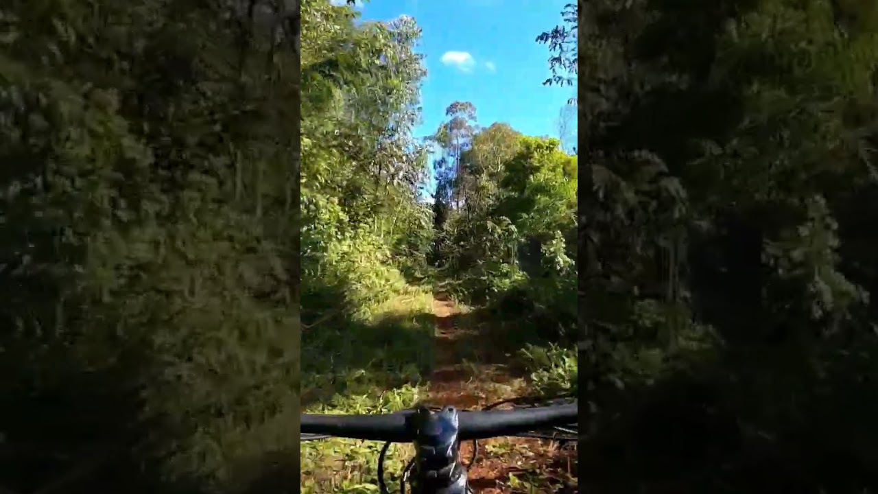 mtb ride scott scale. 