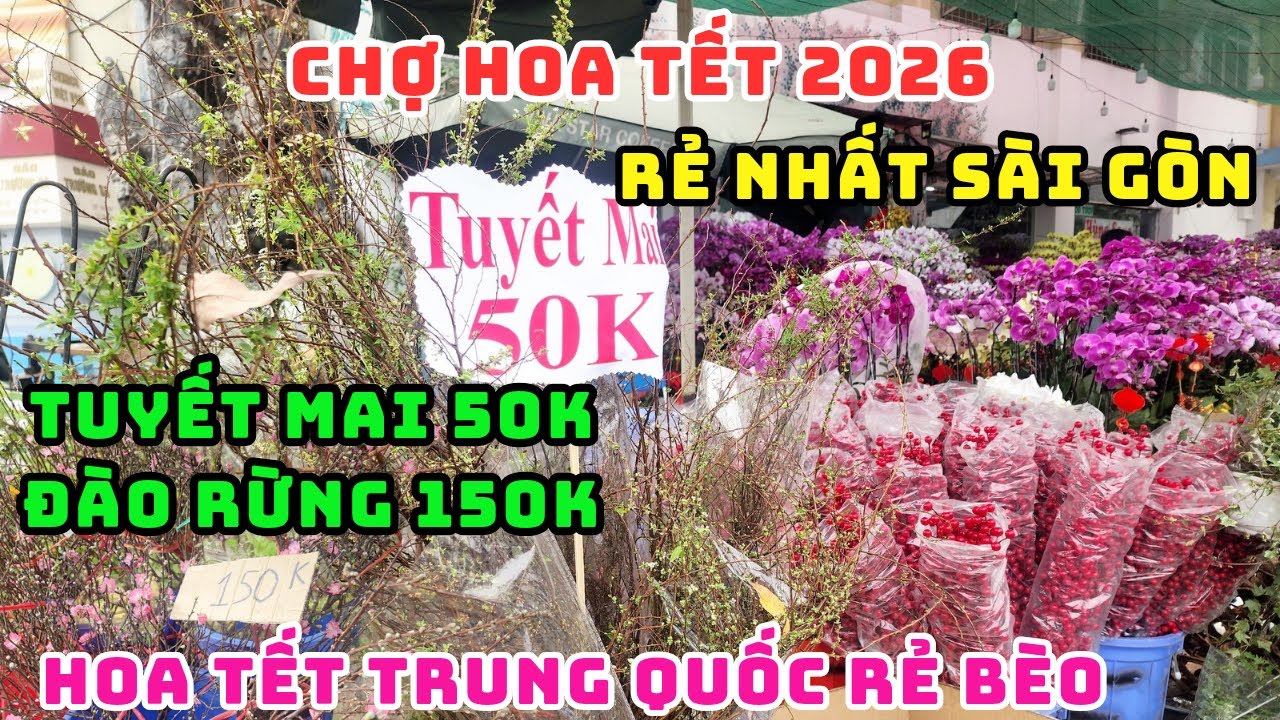 HOA TRUNG QUỐC Ồ ẠT ĐỔ BỘ SÀI GÒN, CHƯA TẾT MÀ ĐÃ SỔ RẺ CHƯA TỪNG CÓ, GIẢI CỨU HOA VIỆT MỆT MỎI RỒI