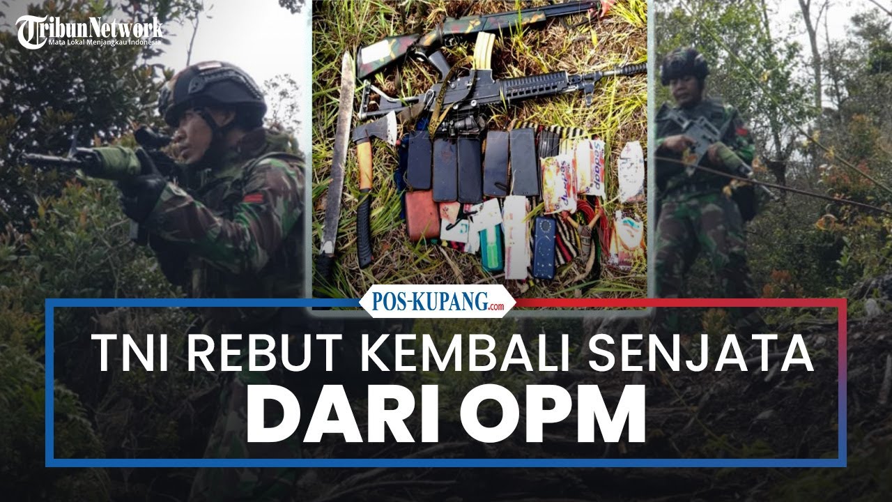 TNI Rebut Kembali Senjata yang Dirampas OPM di Puncak
