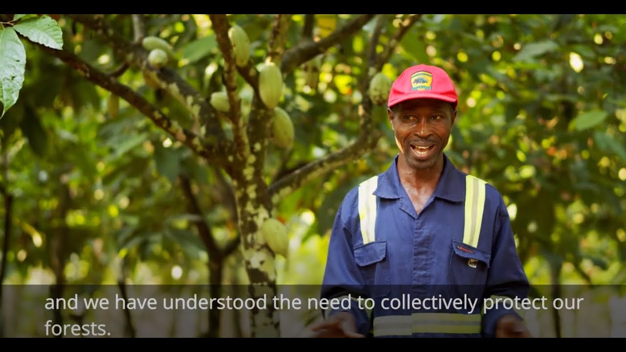 Voices from Ghana's cocoa value chain