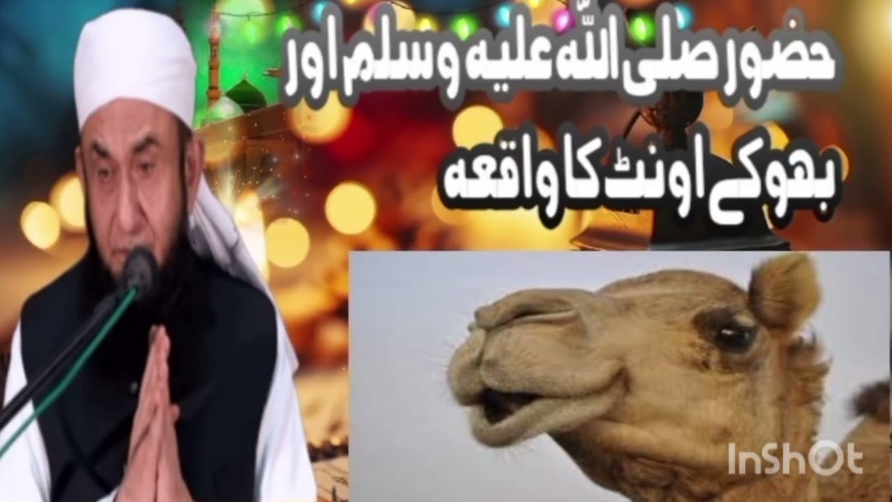 حضور صلی اللّٰہ علیہ وسلم اور بھوکے اونٹ کا واقعہ مولانا طارق جمیل صاحب 
