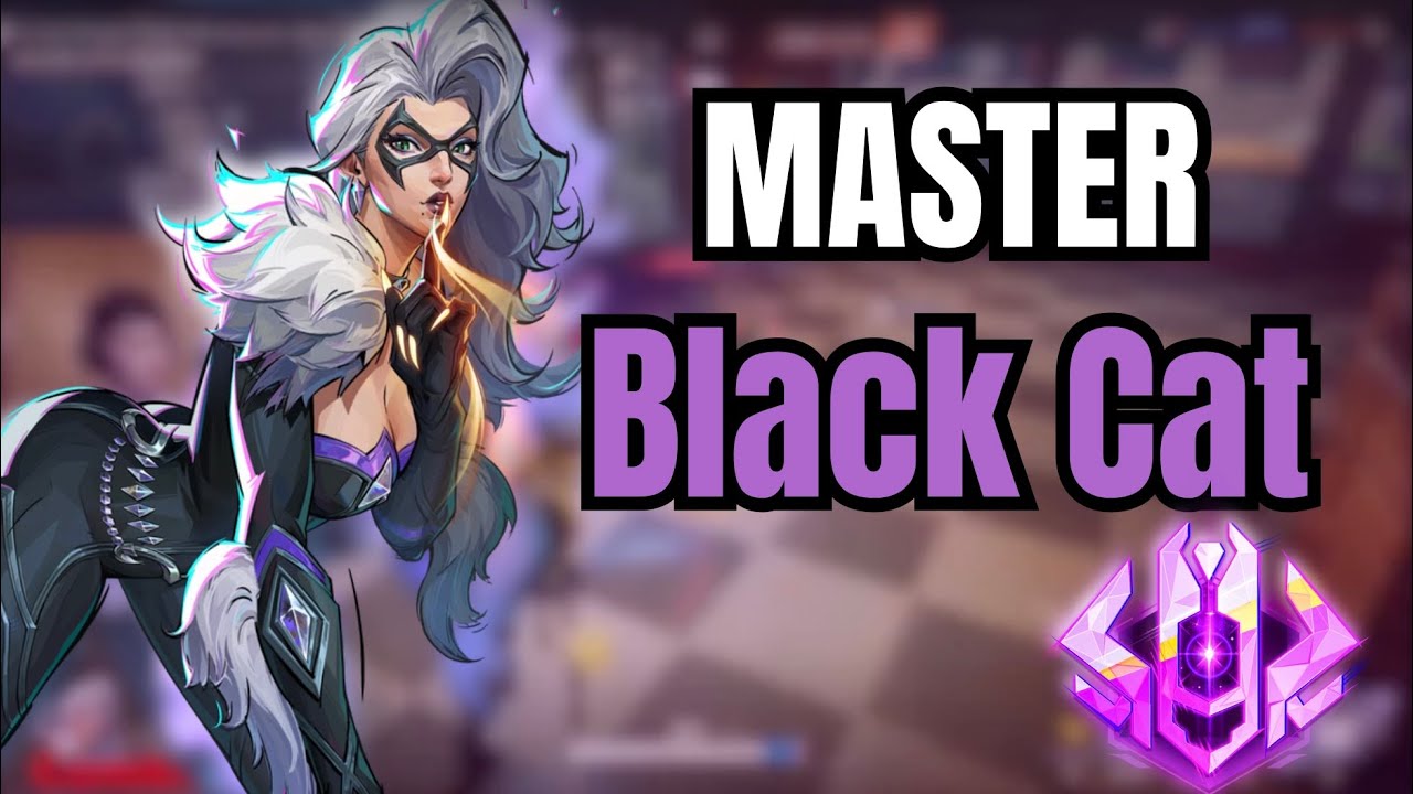 The Black Cat Guide Nobody Made