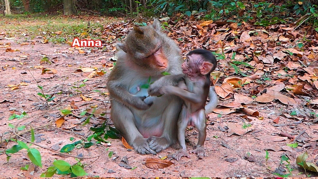 Happy life Anna & baby Amina