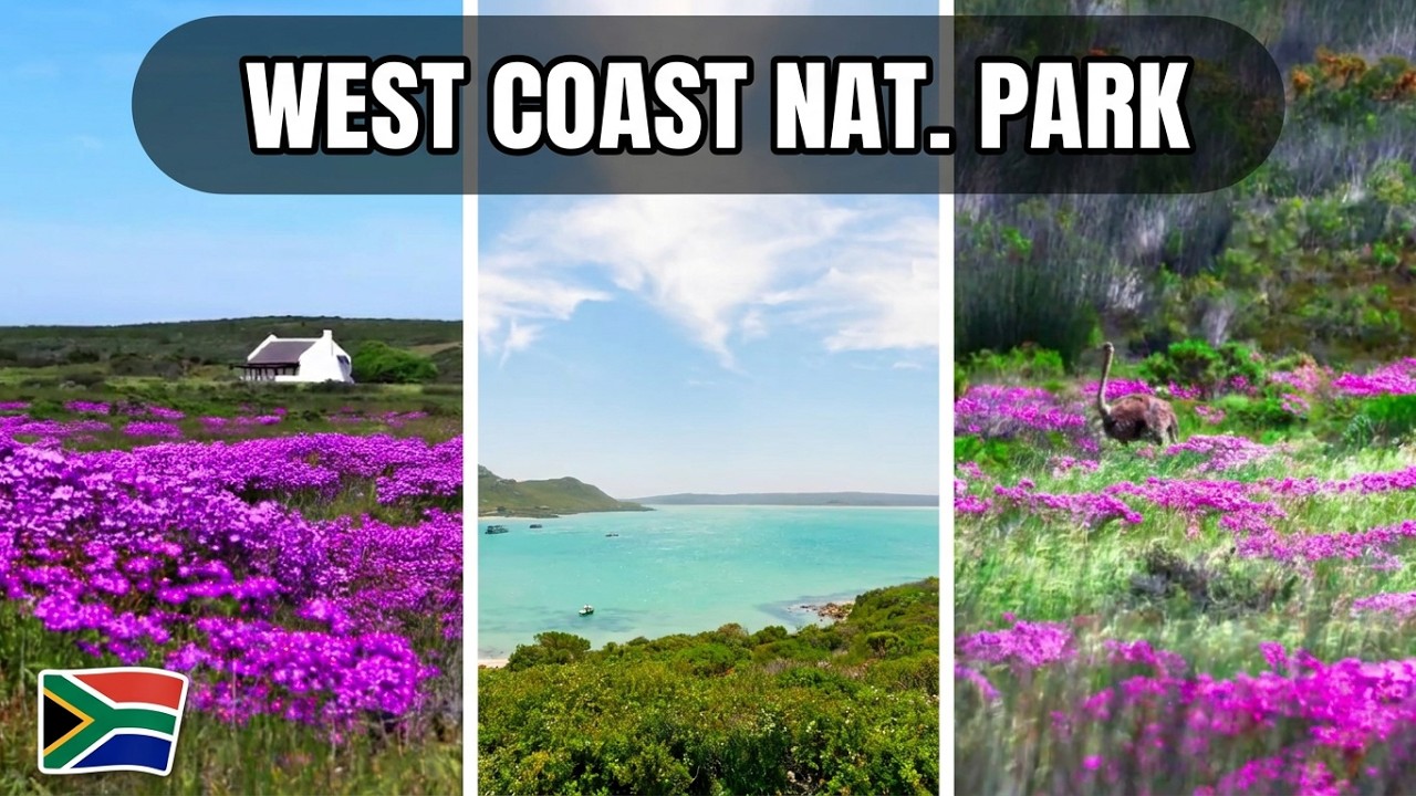 West Coast National Park (South Africa)