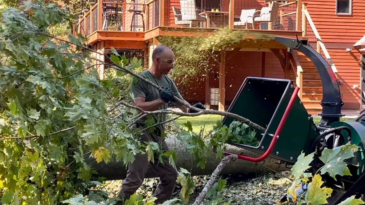 Woodland Mills WC68 CHIPPING Maple Branches with Ease!