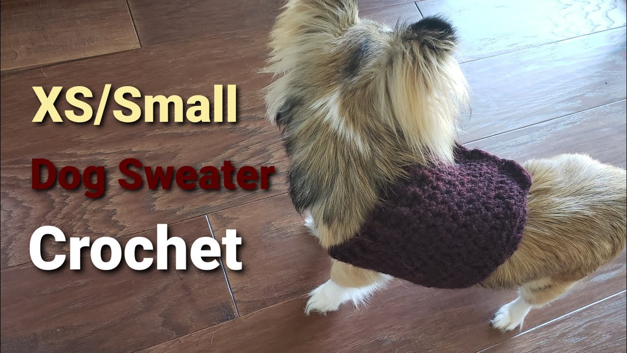 How to Crochet an XS/Small Dog Sweater!
